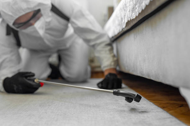 Professional Bed Bug Control technician working in Lenoir County County, NC